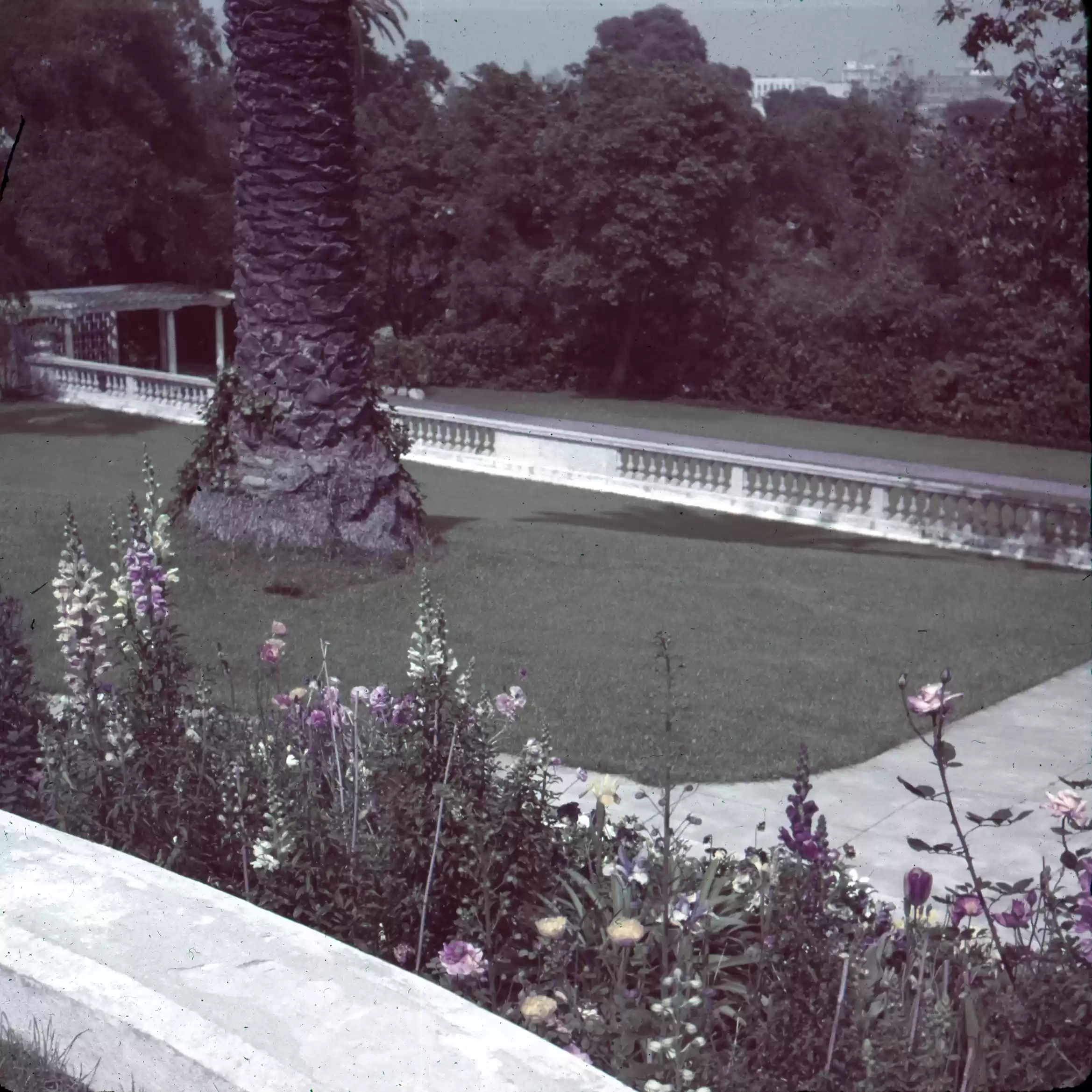 Looking over the Lower Gardens Pasadena Campus_0003